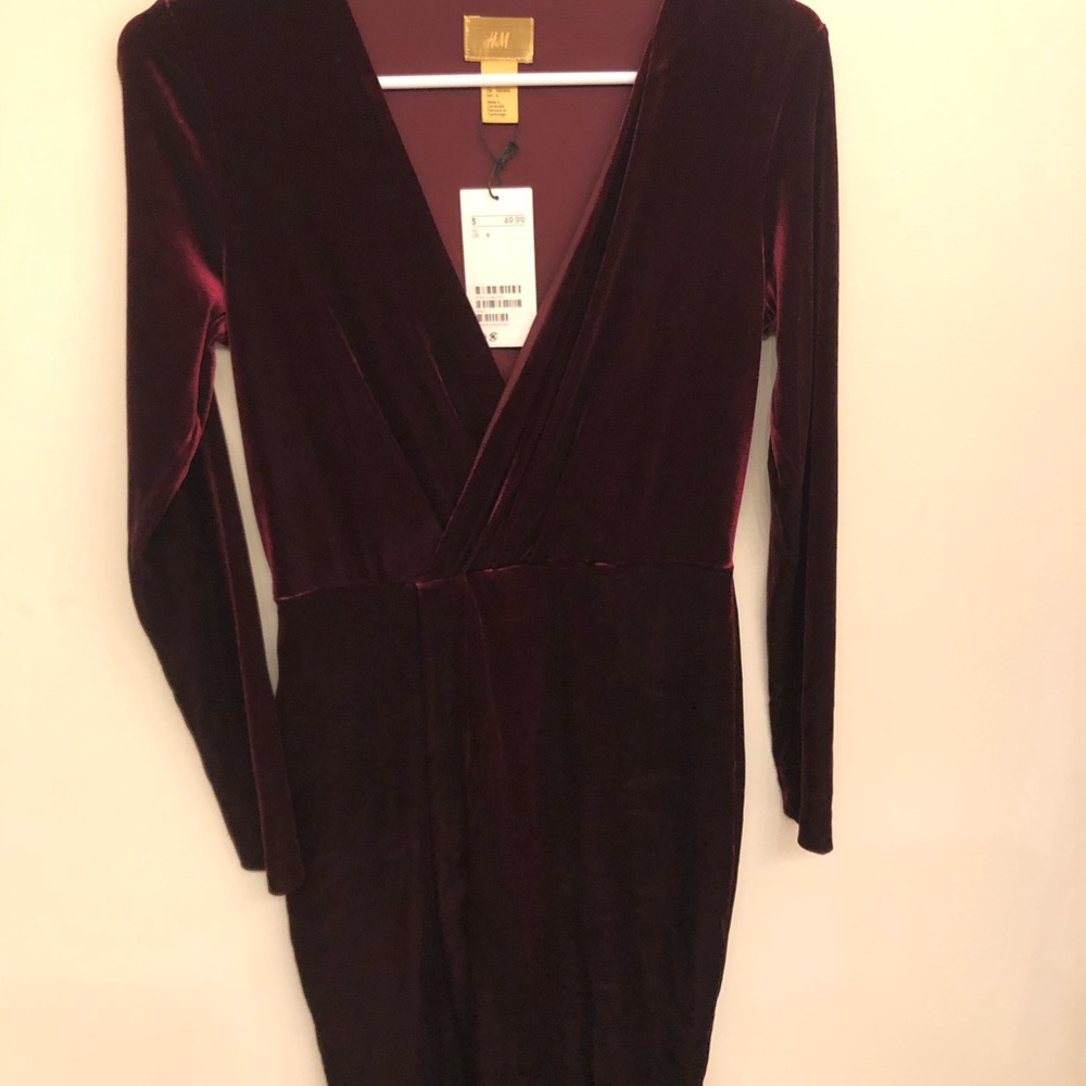 H&M Merlot velvet tea length dress